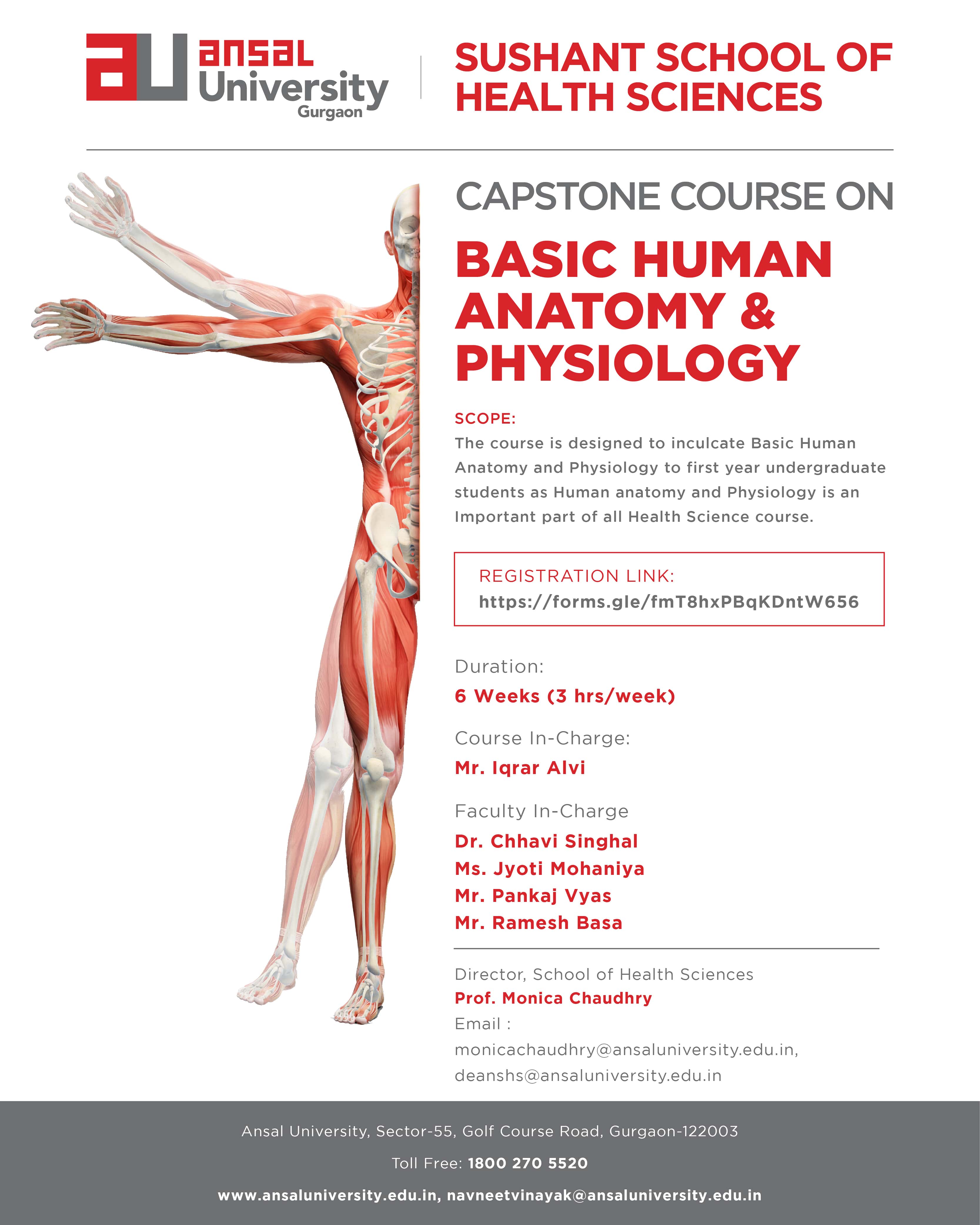 Human Anatomy: https://forms.gle/ fmT8hxPBqKDntW656